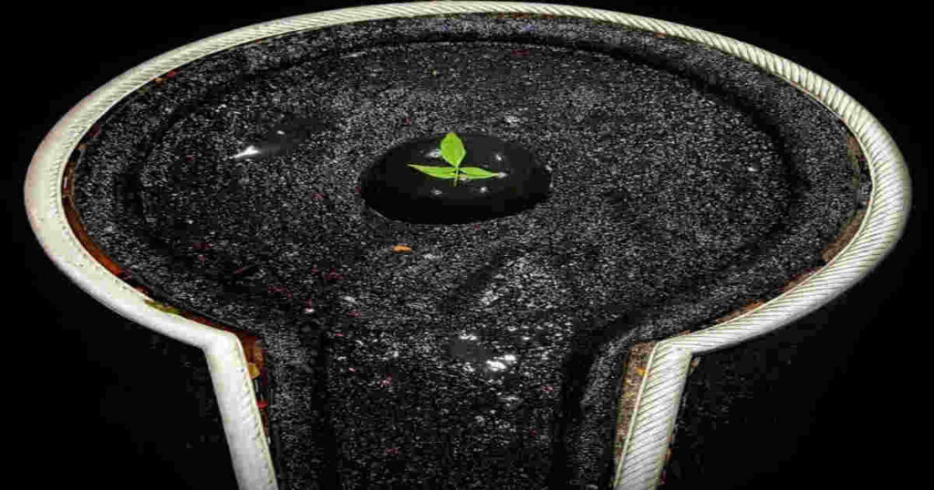 बैद्यनाथ मंदिर